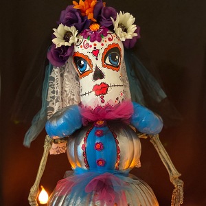 Fundraising Page: Debra Fallo